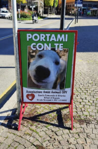canile bagnaia2