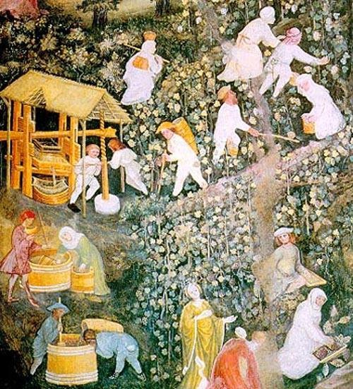 Visite guidate, vita quotidiana ai tempi di Santa Rosa