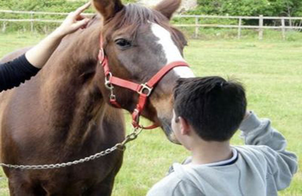 Ippo in campo: successo del progetto pilota di terapia con i cavalli