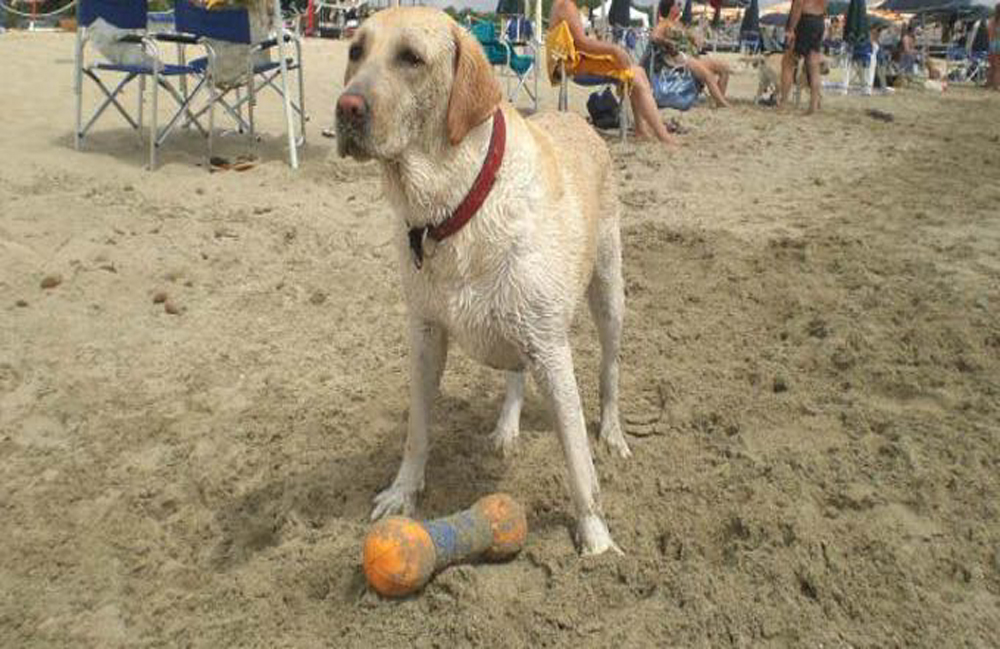 Bau Beach, anche a Montalto e Pescia le spiagge per Fido