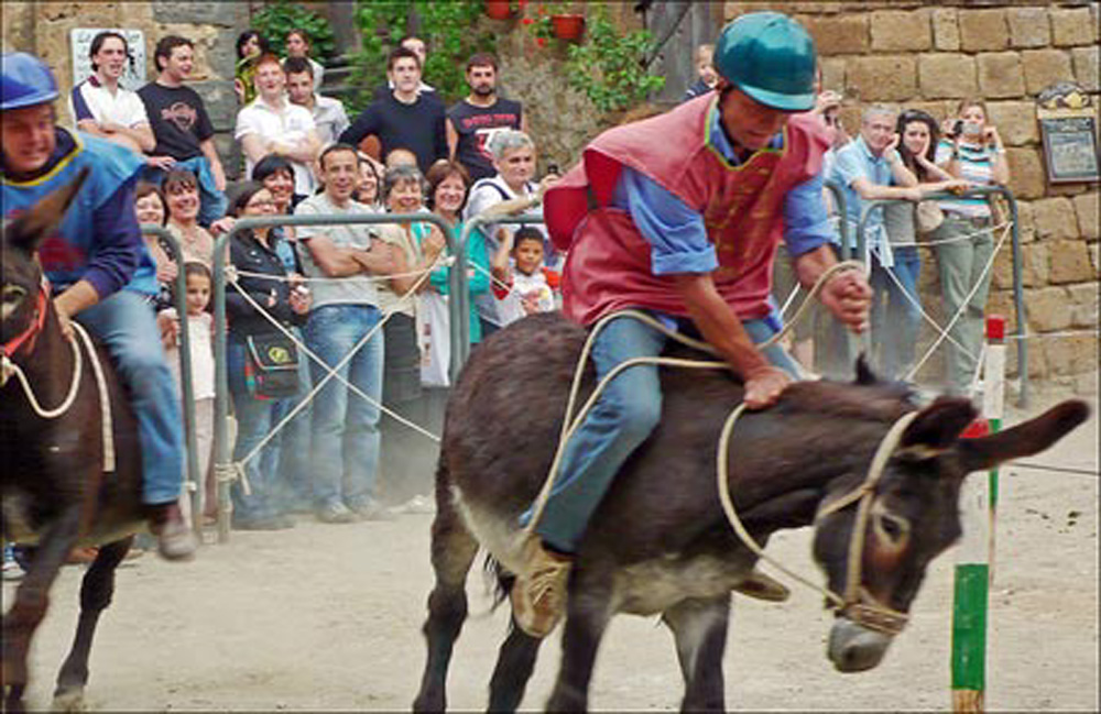 tonda-con-asini-a-civita-8-450