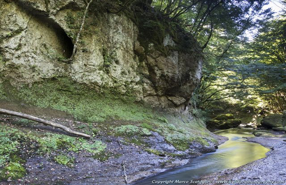 tuscia di marco scataglini