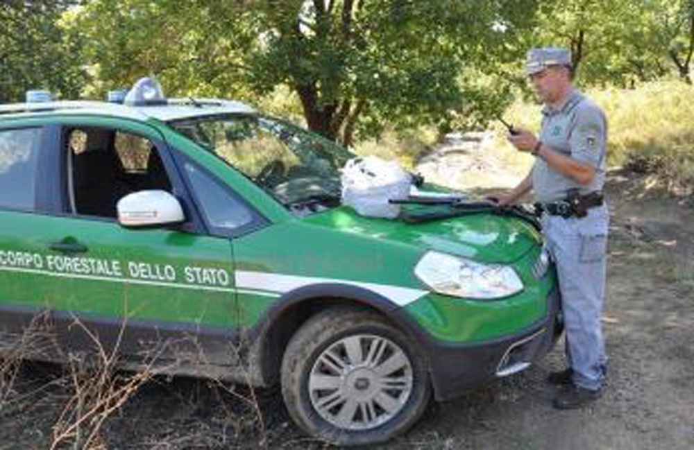 Apertura caccia. Corpo Forestale invita alle norme