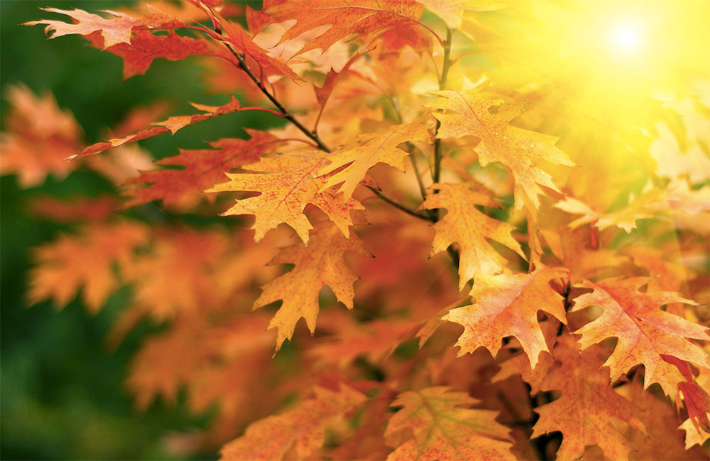 autunno