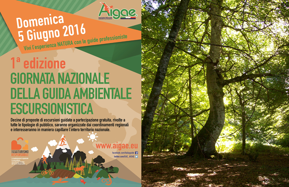 Via-dei-faggi_escursione