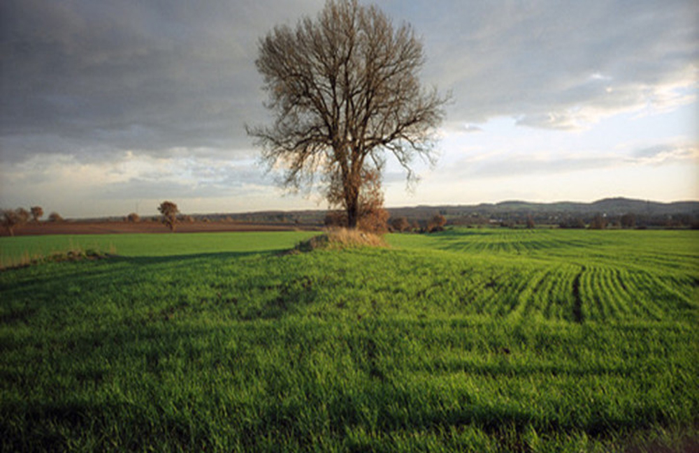 altopiano-alfina-726x400