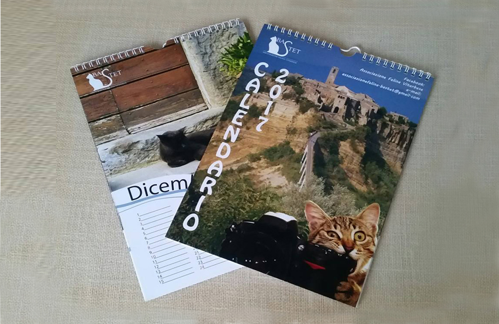 Associazione Felina Bastet: consuntivi programmi e calendario 2017