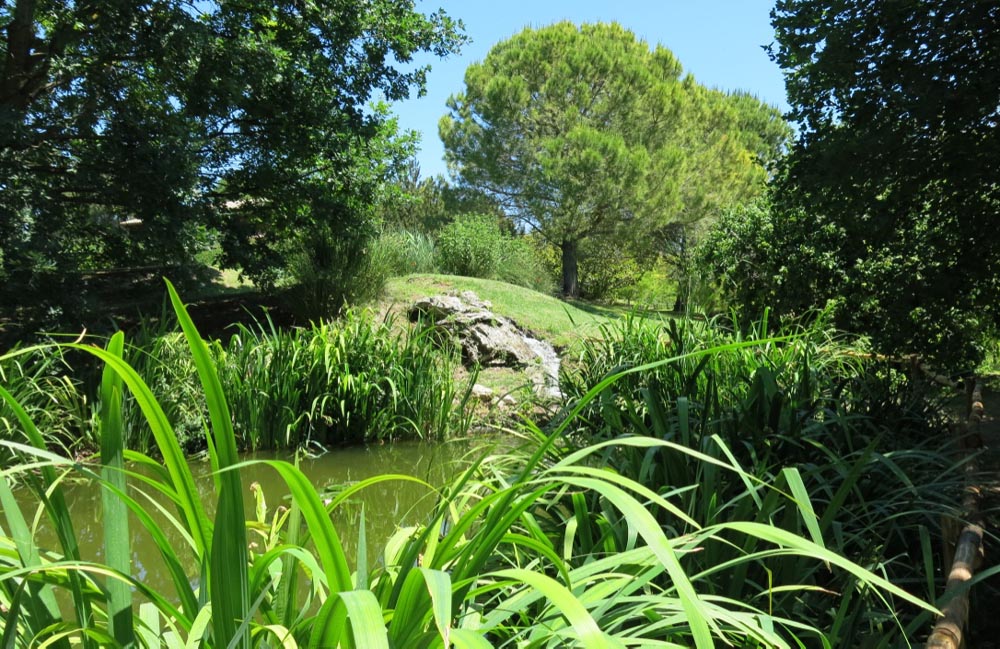 Orto Botanico Angelo Rambelli: un contenitore di idee e di eventi