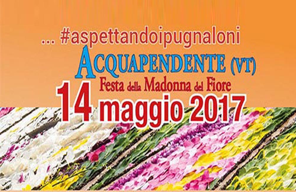 aspettando i pugnaloni