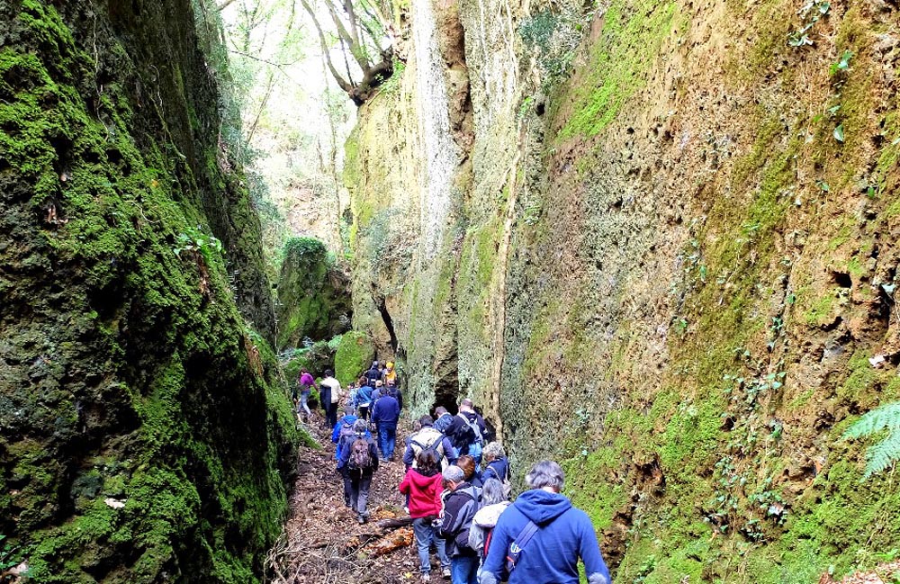 Risultati immagini per Parco Marturanum.