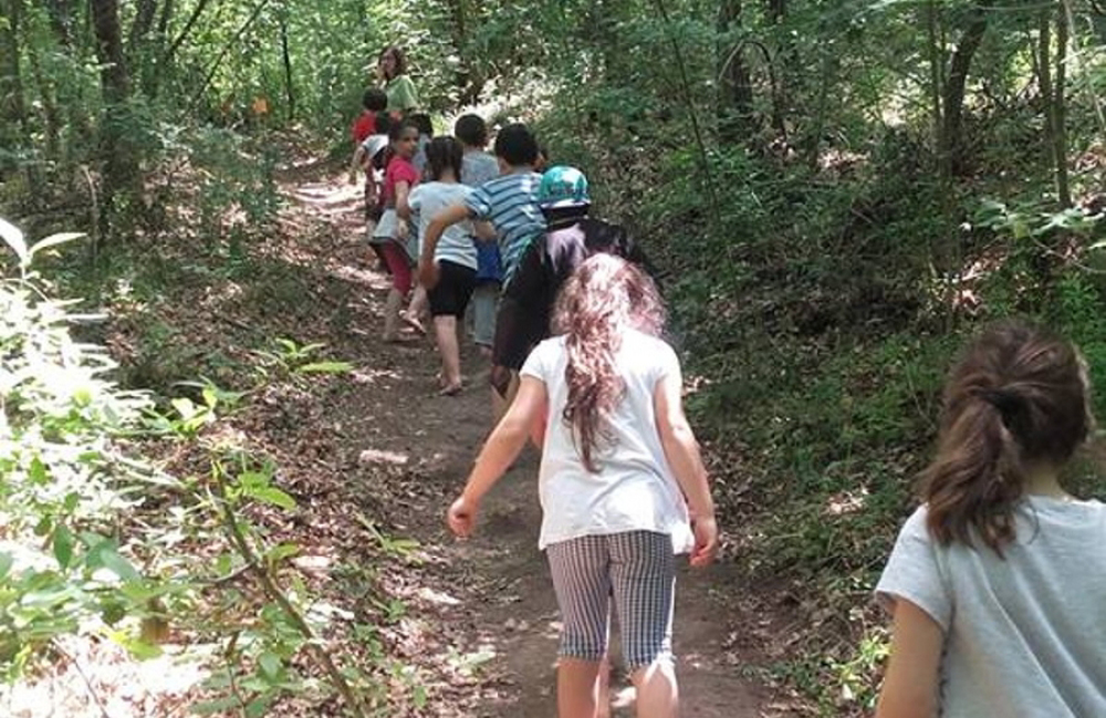 1parco dei cinque sensi vitorchiano