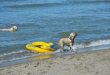 Bau Bau Beach a Pescia Romana e Montalto