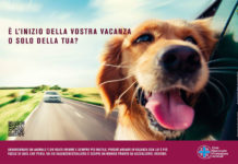 No all’abbandono estivo dei cani: il banchetto di Enpa a Montefiascone