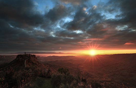 alba alba