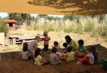 BabyForum/Asilo nido e scuole dell’infanzia nel periodo estivo