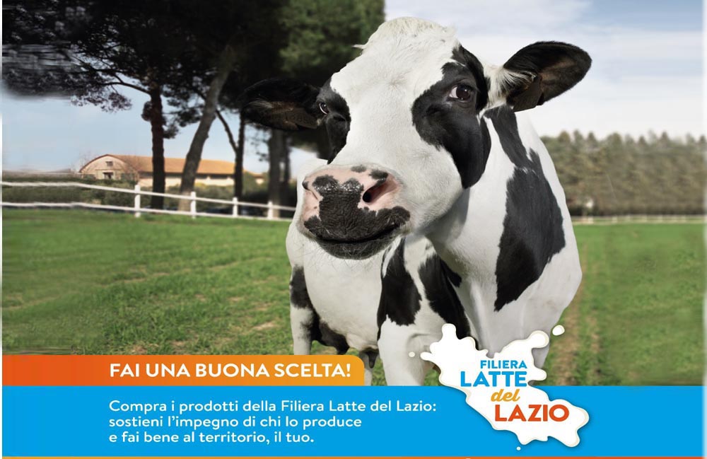 campagna latte