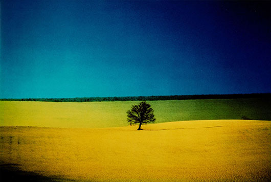 franco-fontana.jpg FRASE franco-fontana.jpg FRASE