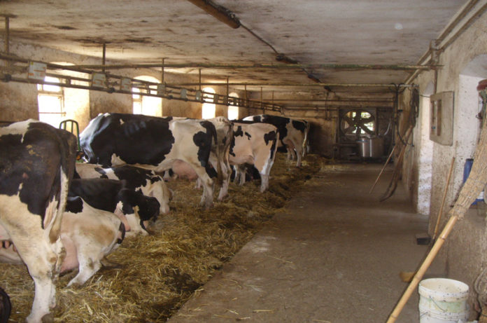 riaperte le stalle nel lazio