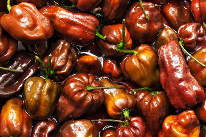 habanero-chocolate peperoncino