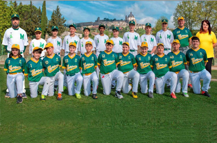 Montefiascone Baseball