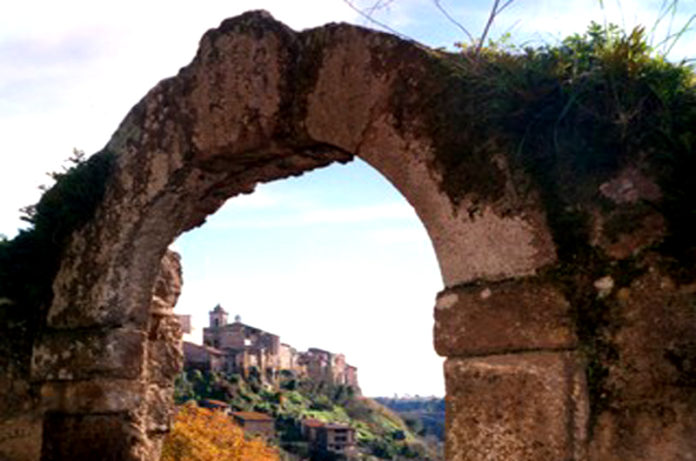 BLERA_sapore di frantoio