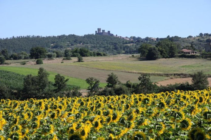 Acquapendente_altopiano dell'alfina