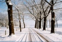 Allerta neve, dai Bollettini possibili fiocchi sulla Tuscia