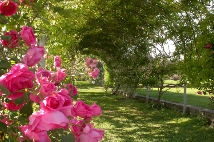 orto botanico viterbo