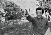 Nel 50mo anniversario della morte di Pasolini, un calendario denso di appuntamenti per celebrarlo pasolini0
