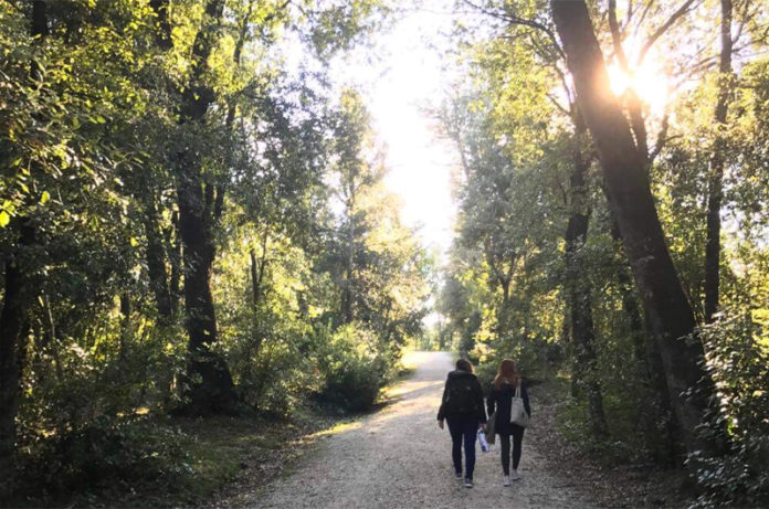 Friends_ lauren graziano 15-3-2018