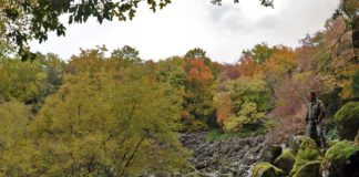 Tra boschi e sassi, alla Riserva del Lamone guidati dal guardaparco