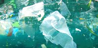 L’impatto delle plastiche sugli ecosistemi acquatici a Un tè con la scienza