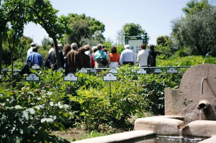 centro botanico moutan vitorchiano (1)