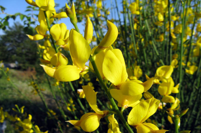 week end 3 di maggio