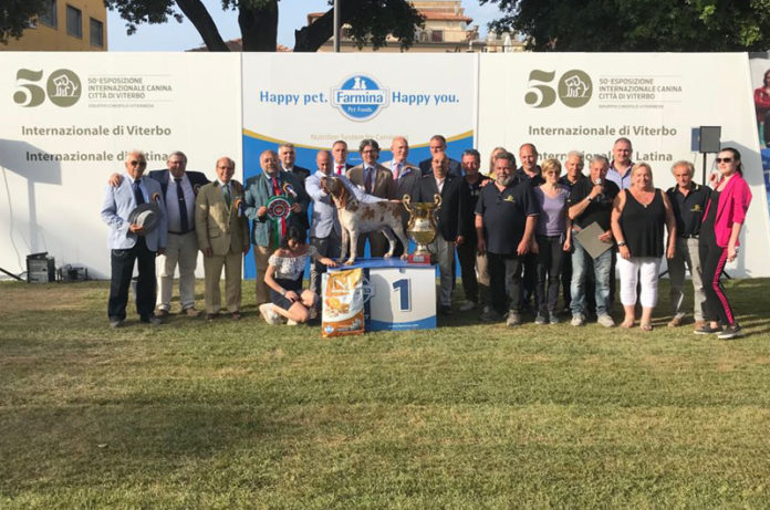 Esposizione Internazionale Canina