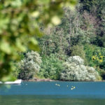 Riserva Naturale del Lago di Vico