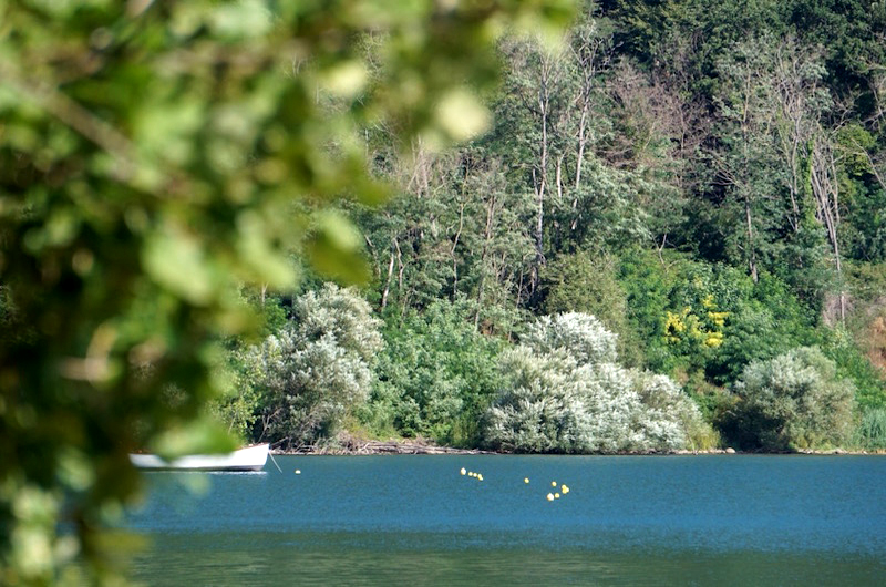 Riserva Naturale del Lago di Vico