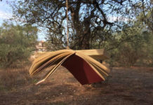 Racconti da rileggere d’estate