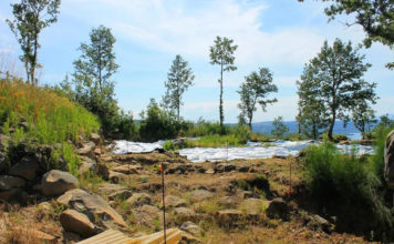 Monte Landro: un Santuario etrusco a san Lorenzo Nuovo