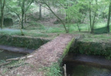 Oriolo Romano, Panunzi: “Via libera al decreto Zingaretti per l’istituzione del monumento naturale del Parco della Mola” parco-della-mola