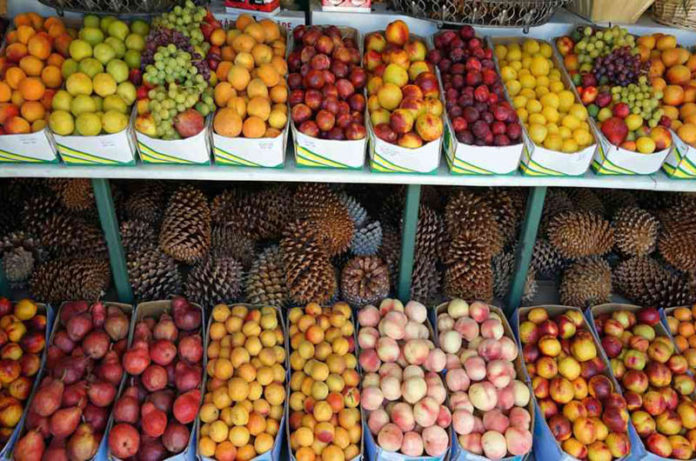 salone del gusto terra madre lazio innova