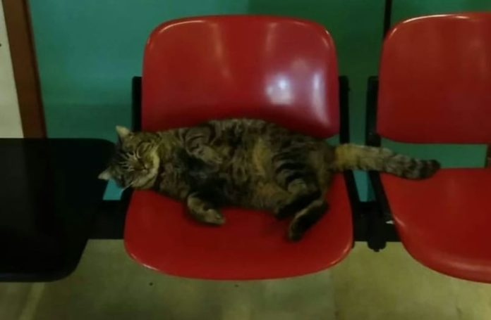 2D393AC4-0886-4041-B74C-00BDAB80FB0F