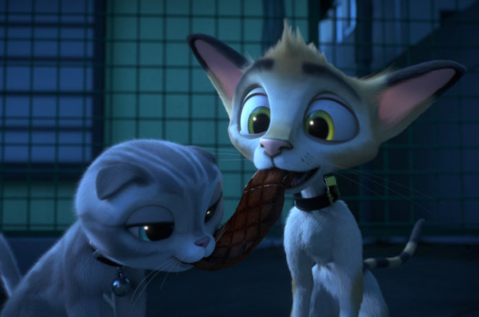 rudolf alla ricerca della felicità regie positive