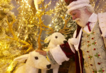 Nel Regno di Babbo Natale animazioni ed eventi, ingresso gratuito