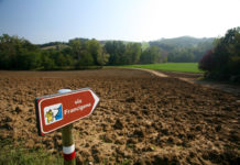 Via Francigena e Cammino di Bonaria, presentazione del gemellaggio tra due percorsi di spiritualità e storia viafrancigena.jpg viterbo