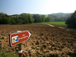 Via Francigena e Cammino di Bonaria, presentazione del gemellaggio tra due percorsi di spiritualità e storia viafrancigena.jpg viterbo