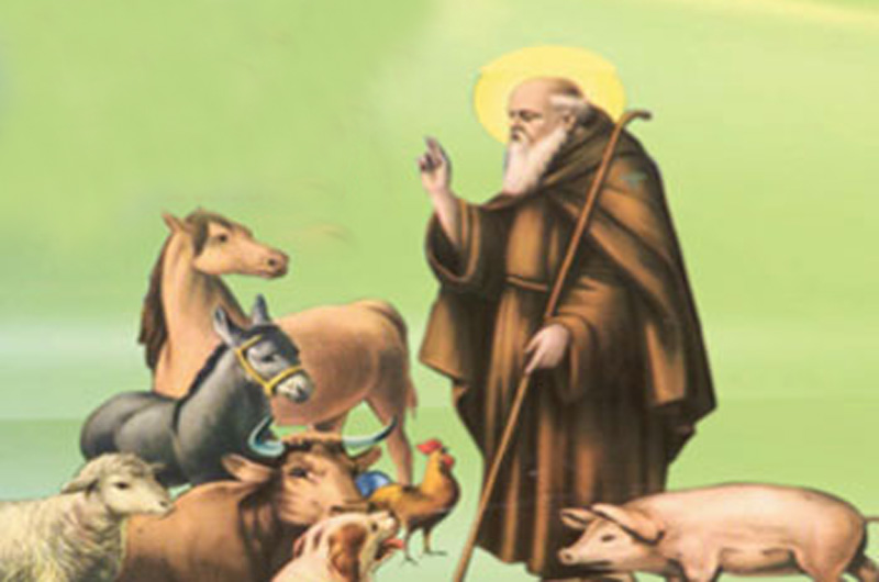 benedizione degli Animali