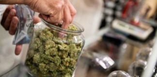 Growshop: Lazio seconda regione in Italia. A Viterbo 2 esercizi