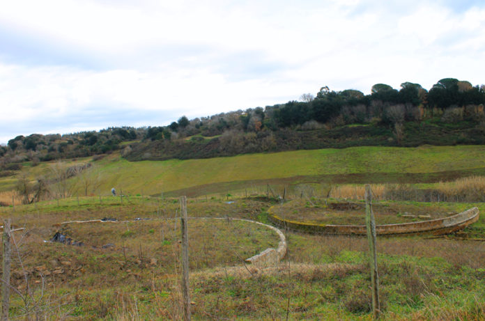 necropoli etrusca Guado Cinto_Tuscania_Francesca.Pontani