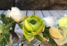 Giardinaggio e fiori recisi: chiacchiere e consigli dagli esperti